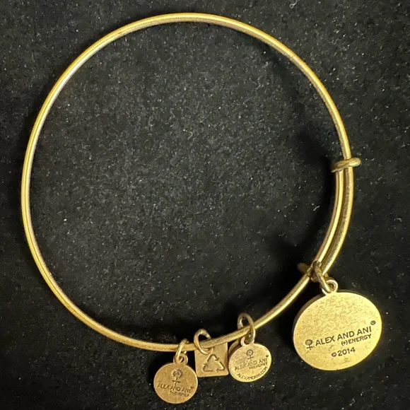 Alex and Ani bracelet - Picture 2 of 2